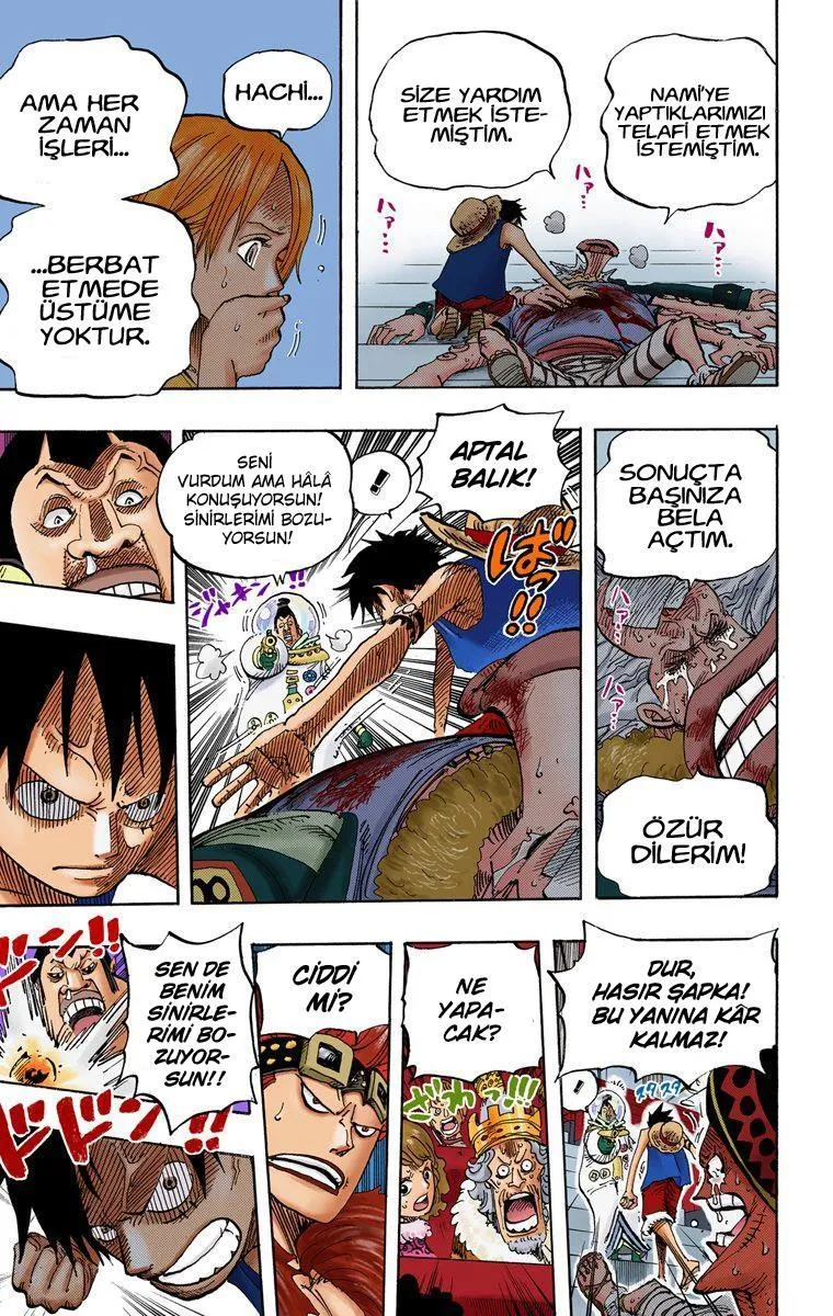 One Piece [Renkli] - Sayfa 18