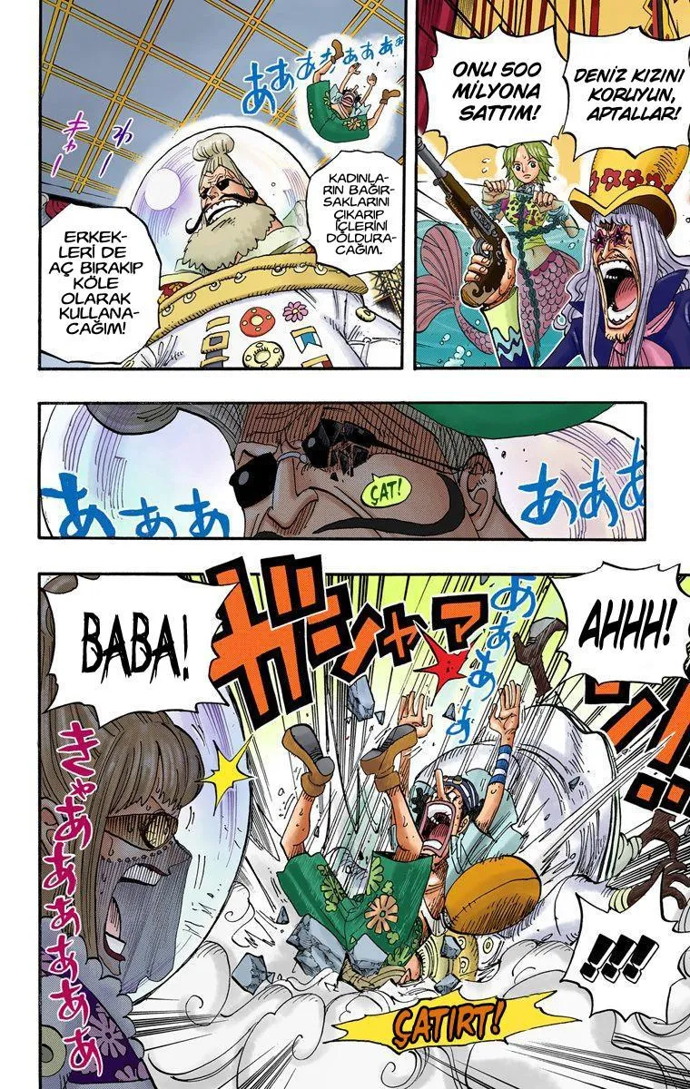 One Piece [Renkli] - Sayfa 12