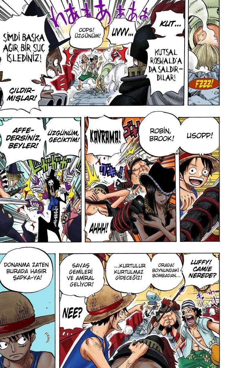 One Piece [Renkli] - Sayfa 13