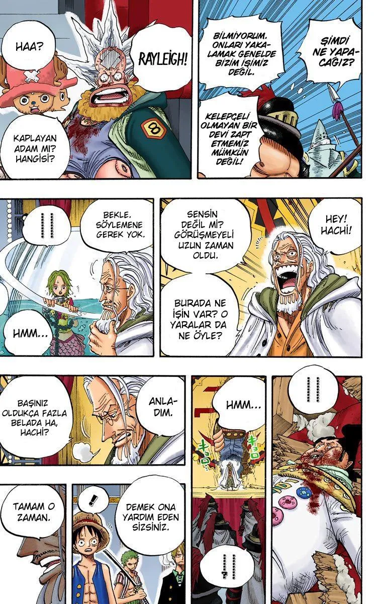 One Piece [Renkli] - Sayfa 17