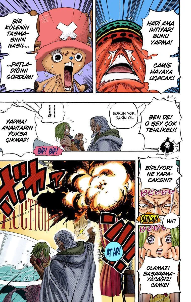 One Piece [Renkli] - Sayfa 10