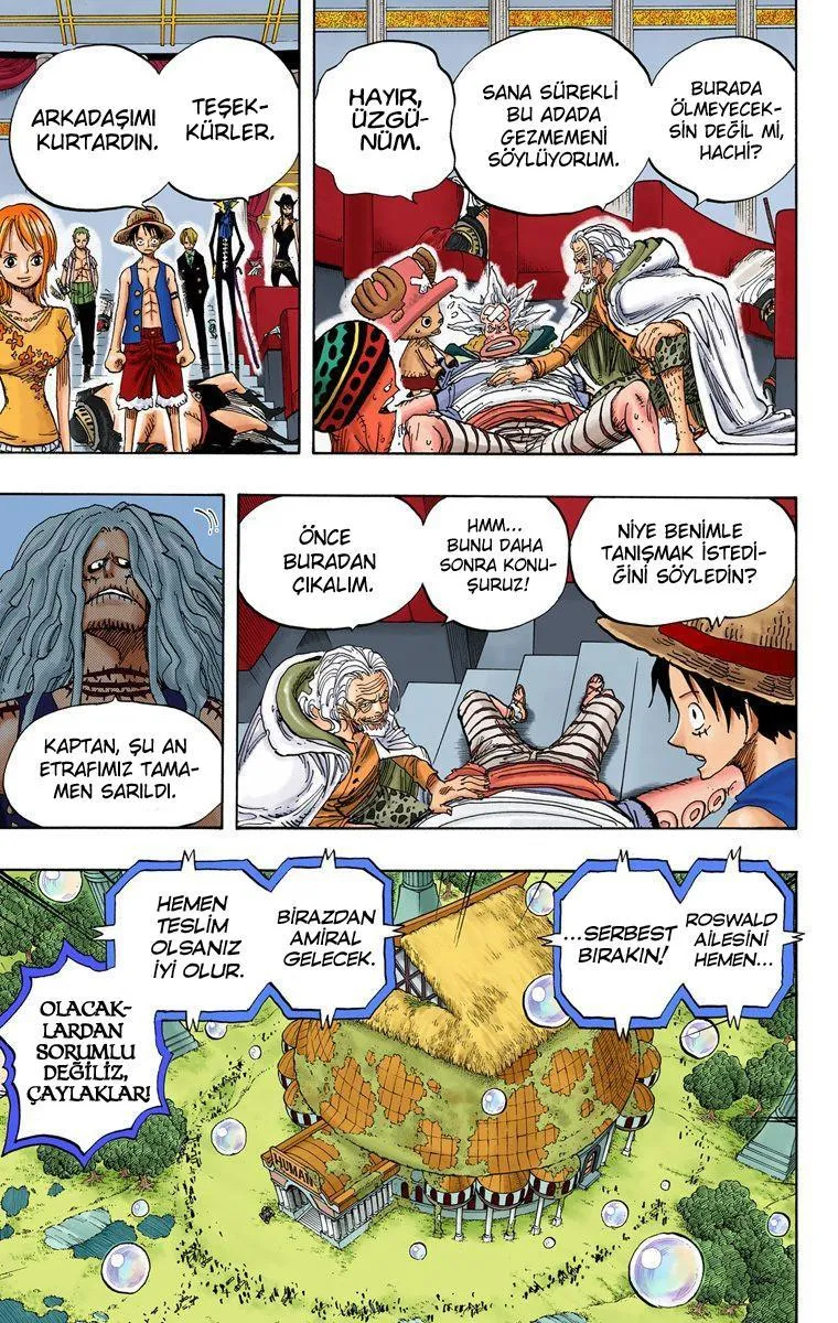 One Piece [Renkli] - Sayfa 14