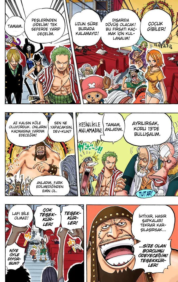 One Piece [Renkli] - Sayfa 17