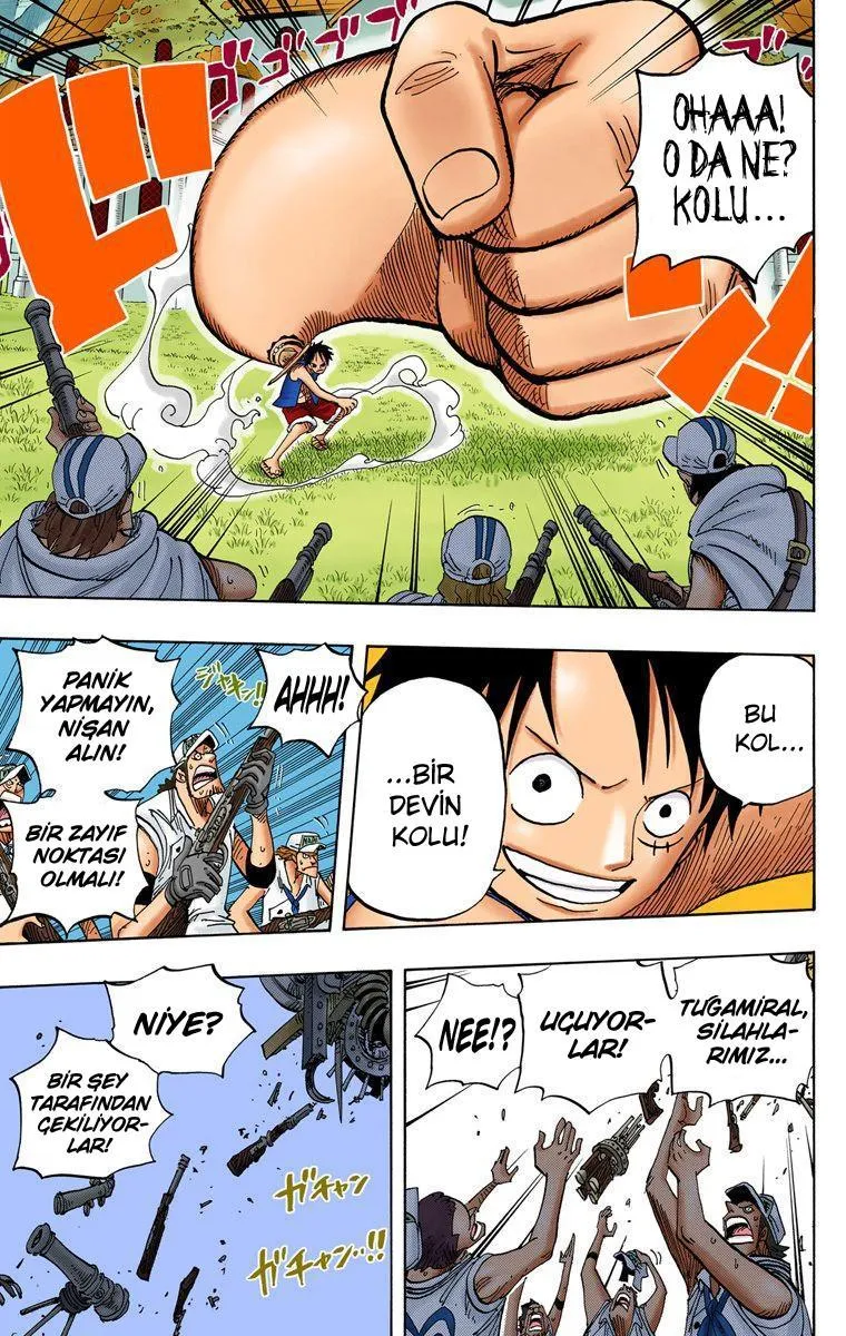 One Piece [Renkli] - Sayfa 6
