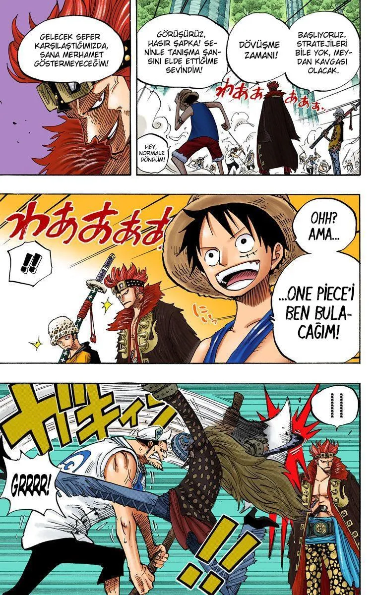 One Piece [Renkli] - Sayfa 11