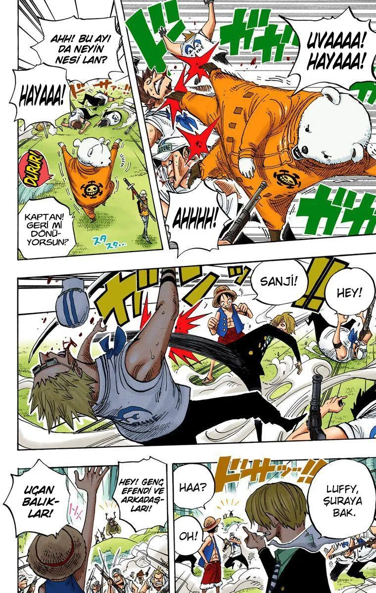 One Piece [Renkli] - Sayfa 14