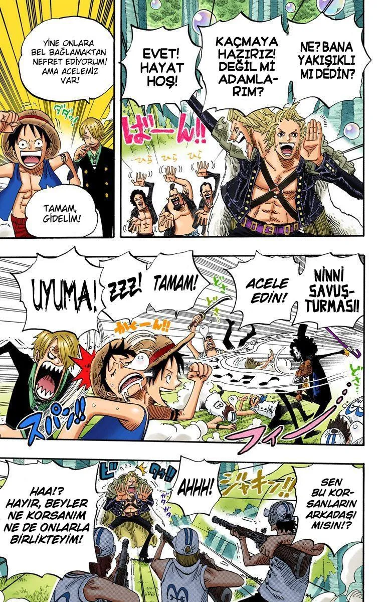 One Piece [Renkli] - Sayfa 15