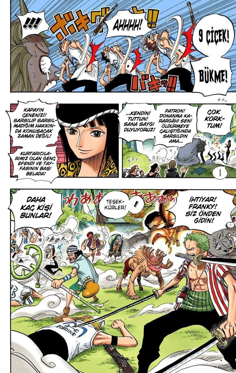 One Piece [Renkli] - Sayfa 16