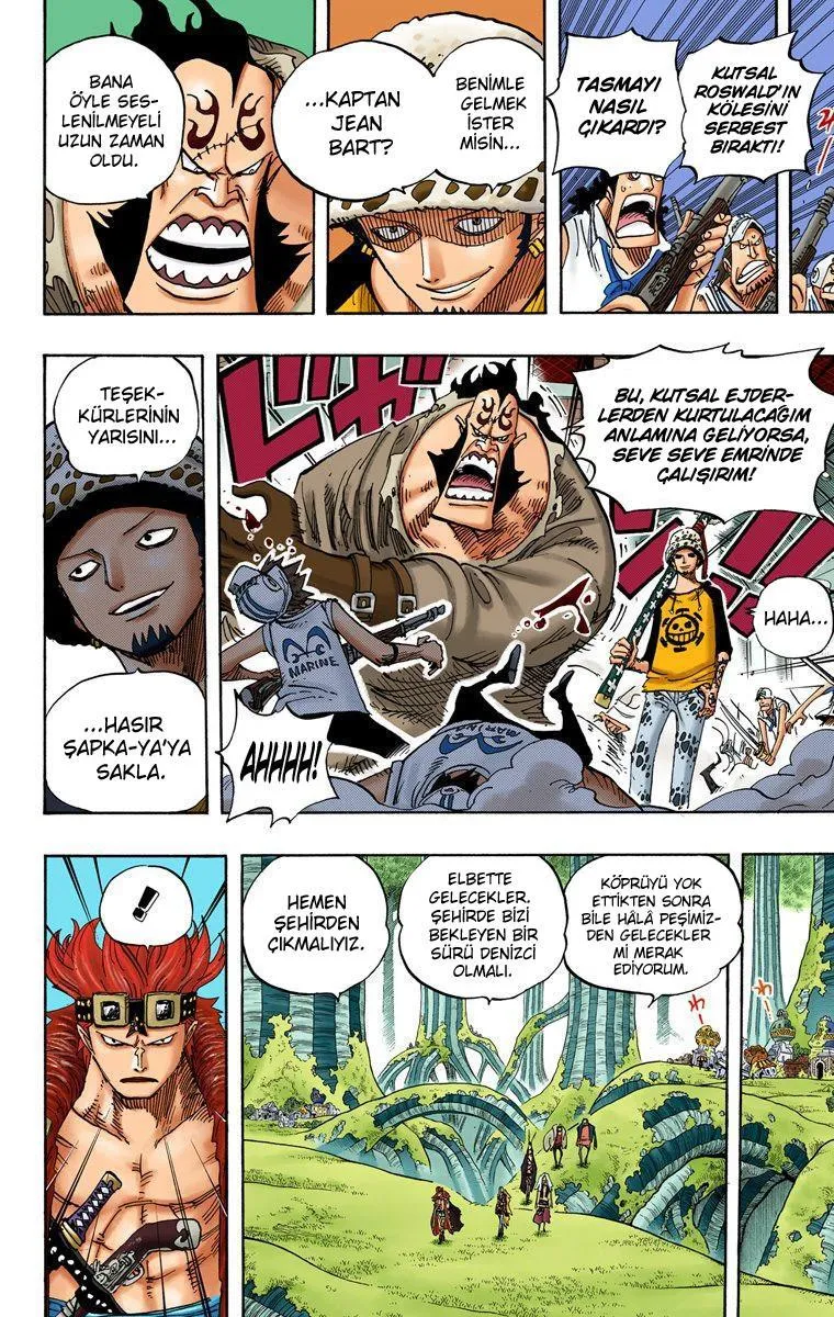 One Piece [Renkli] - Sayfa 18