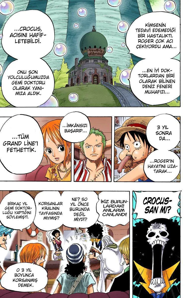 One Piece [Renkli] - Sayfa 12