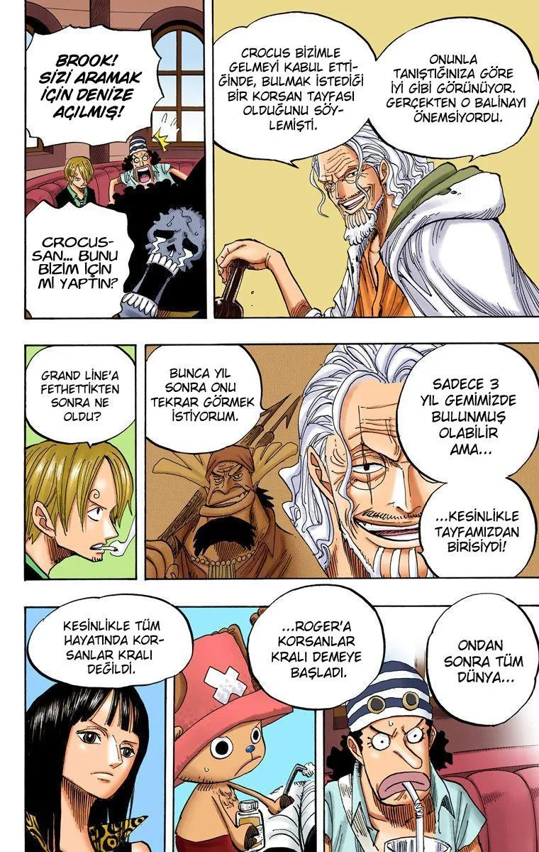 One Piece [Renkli] - Sayfa 13