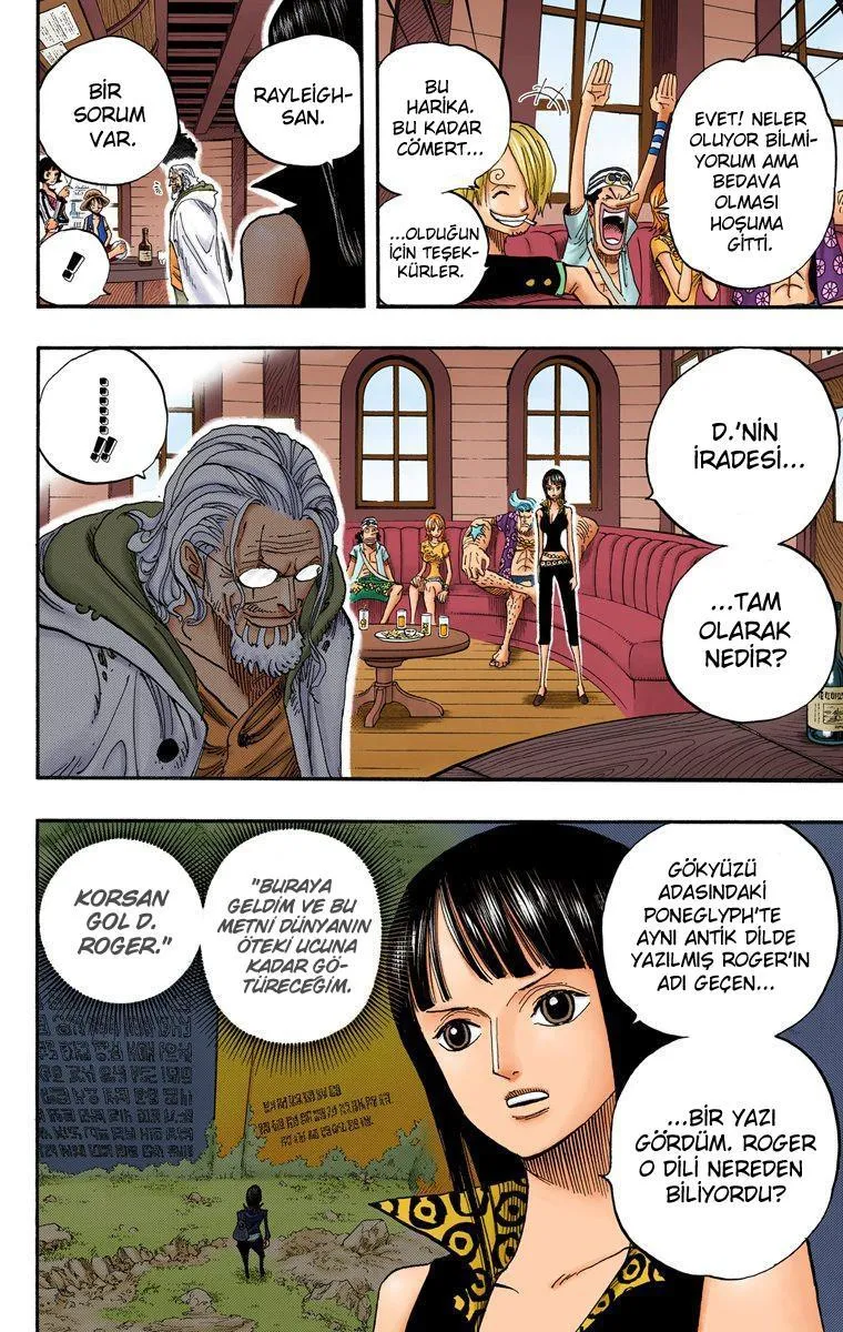 One Piece [Renkli] - Sayfa 4