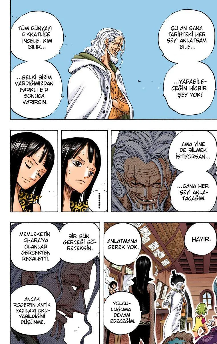 One Piece [Renkli] - Sayfa 6