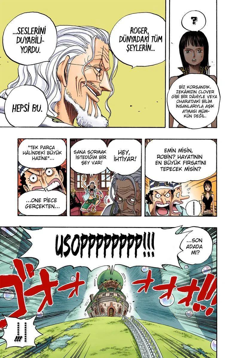 One Piece [Renkli] - Sayfa 7