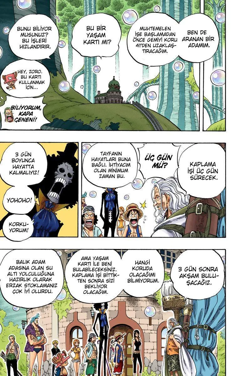 One Piece [Renkli] - Sayfa 11