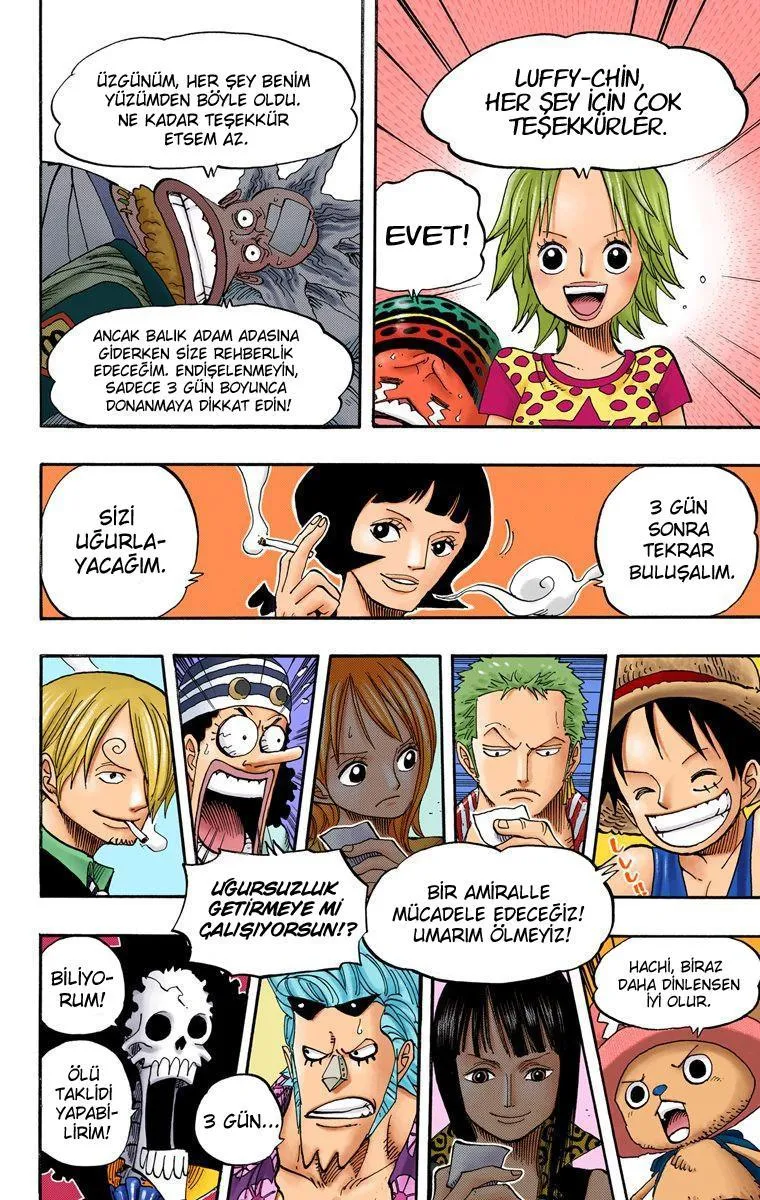 One Piece [Renkli] - Sayfa 12