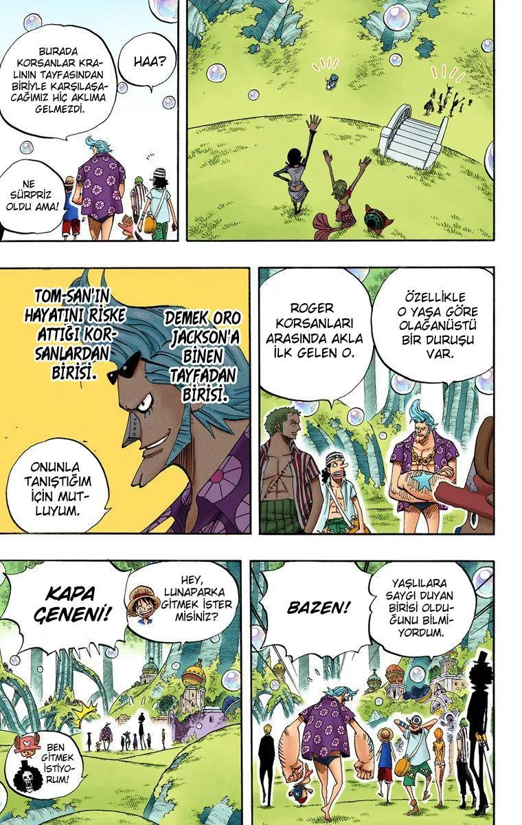 One Piece [Renkli] - Sayfa 13