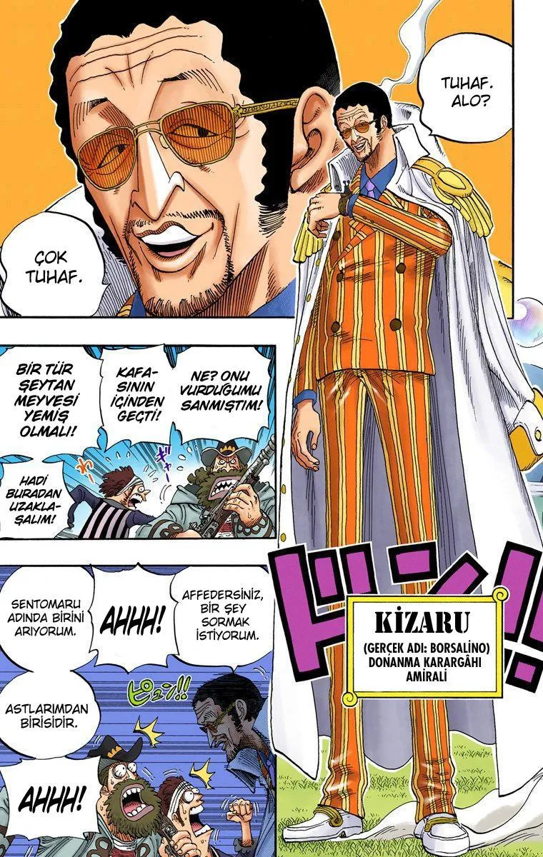 One Piece [Renkli] - Sayfa 15