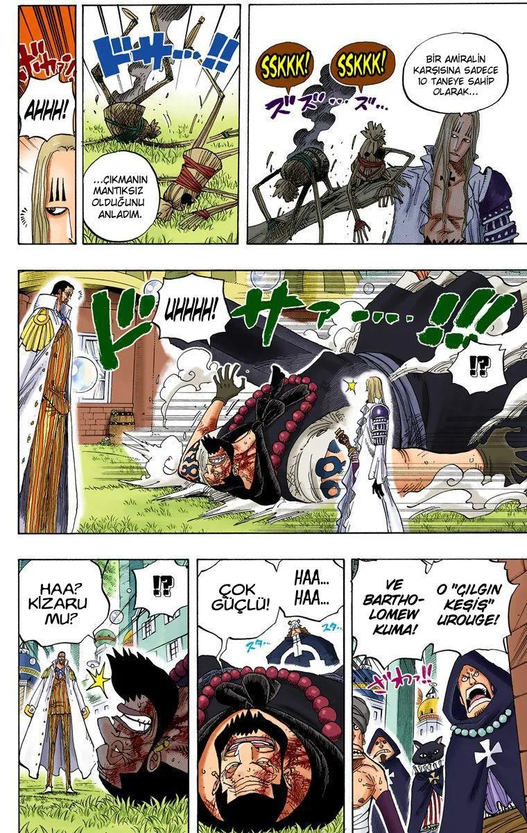 One Piece [Renkli] - Sayfa 13