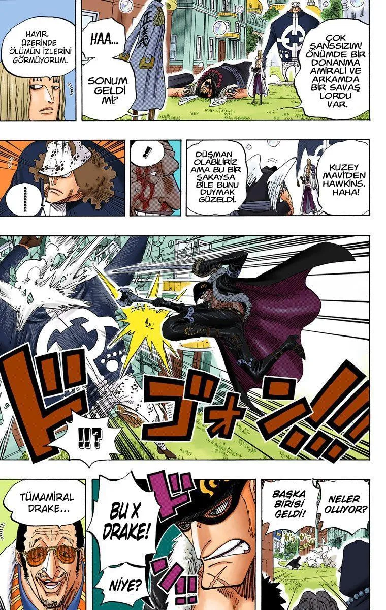 One Piece [Renkli] - Sayfa 14