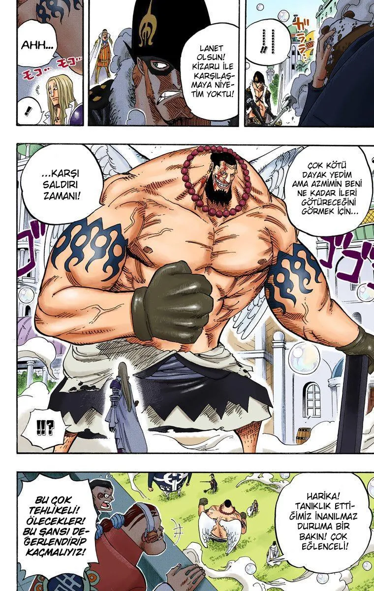 One Piece [Renkli] - Sayfa 15