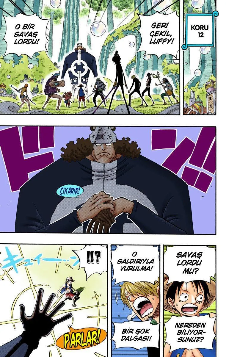 One Piece [Renkli] - Sayfa 16