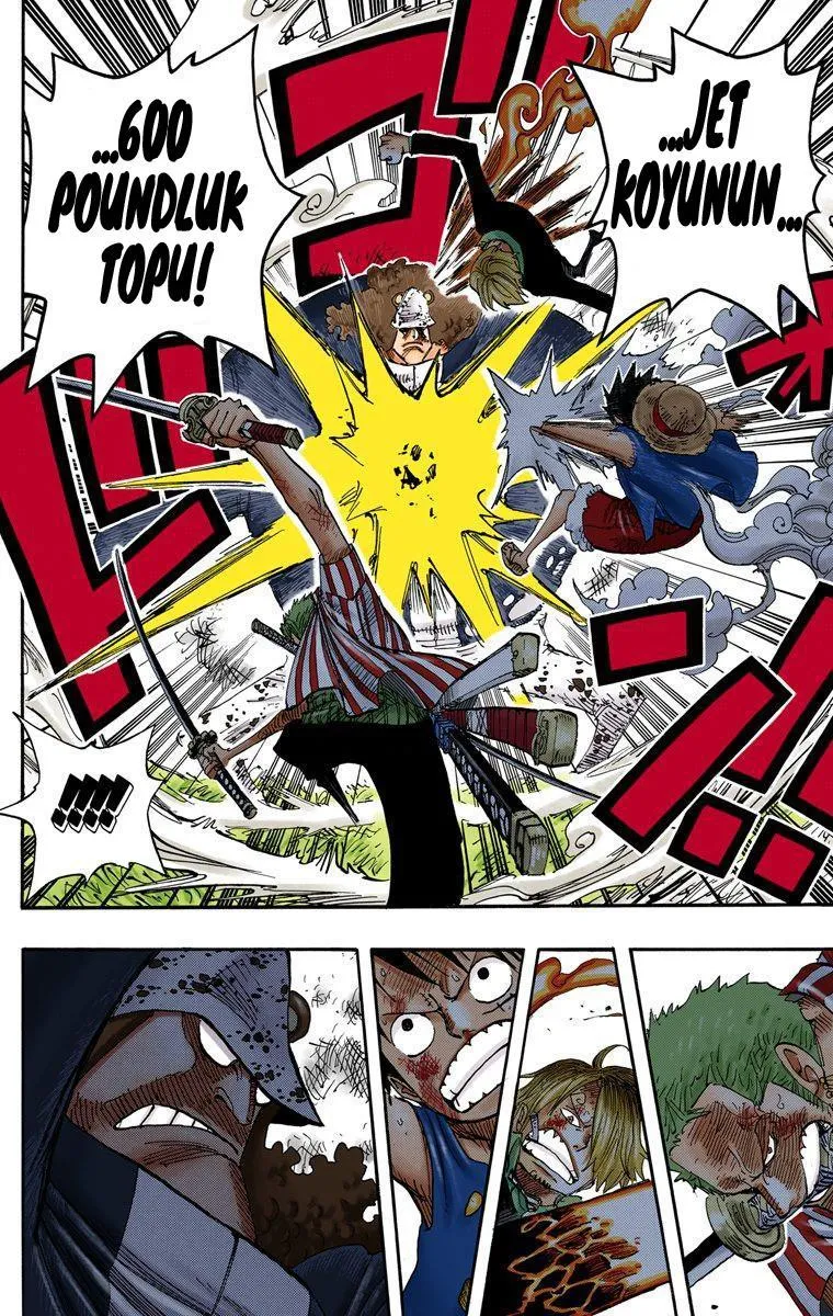 One Piece [Renkli] - Sayfa 5