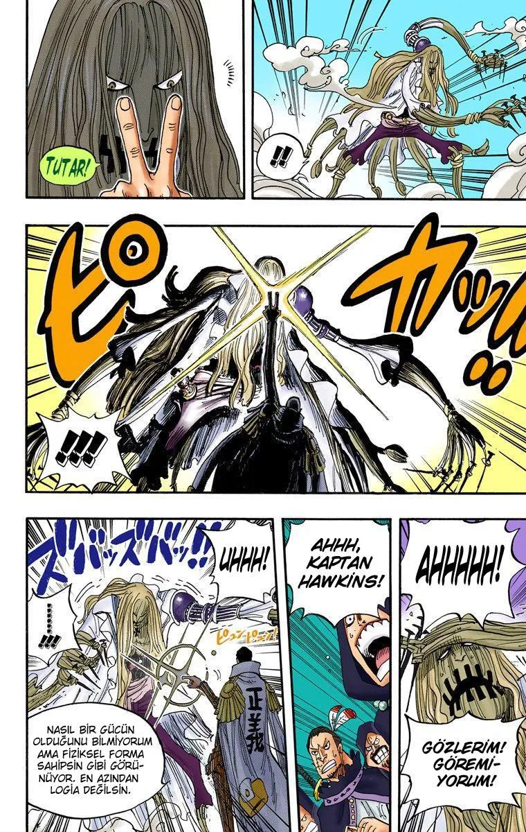 One Piece [Renkli] - Sayfa 17