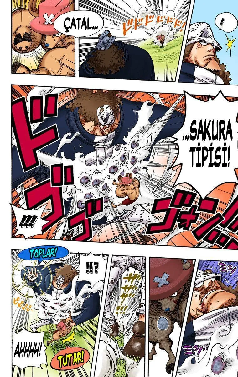 One Piece [Renkli] - Sayfa 11