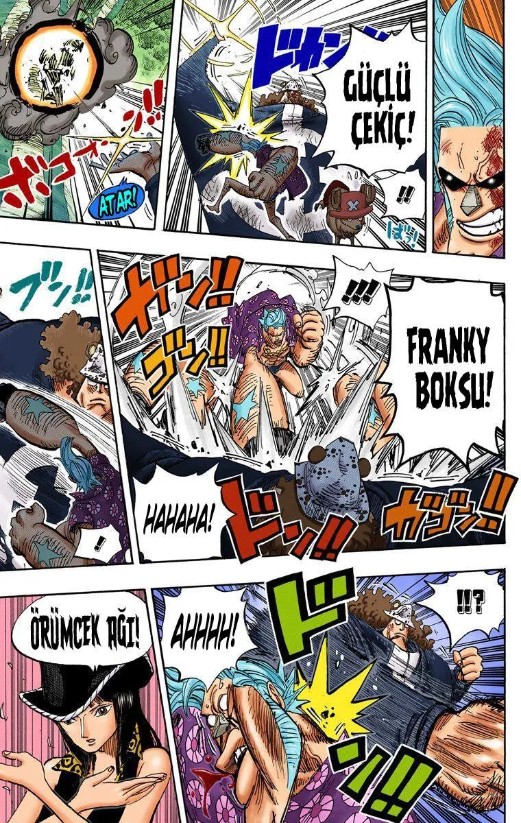 One Piece [Renkli] - Sayfa 12