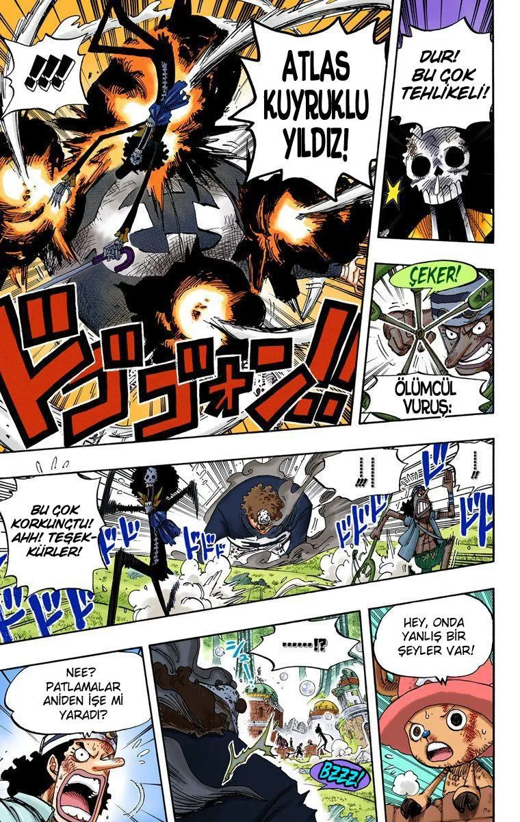 One Piece [Renkli] - Sayfa 14