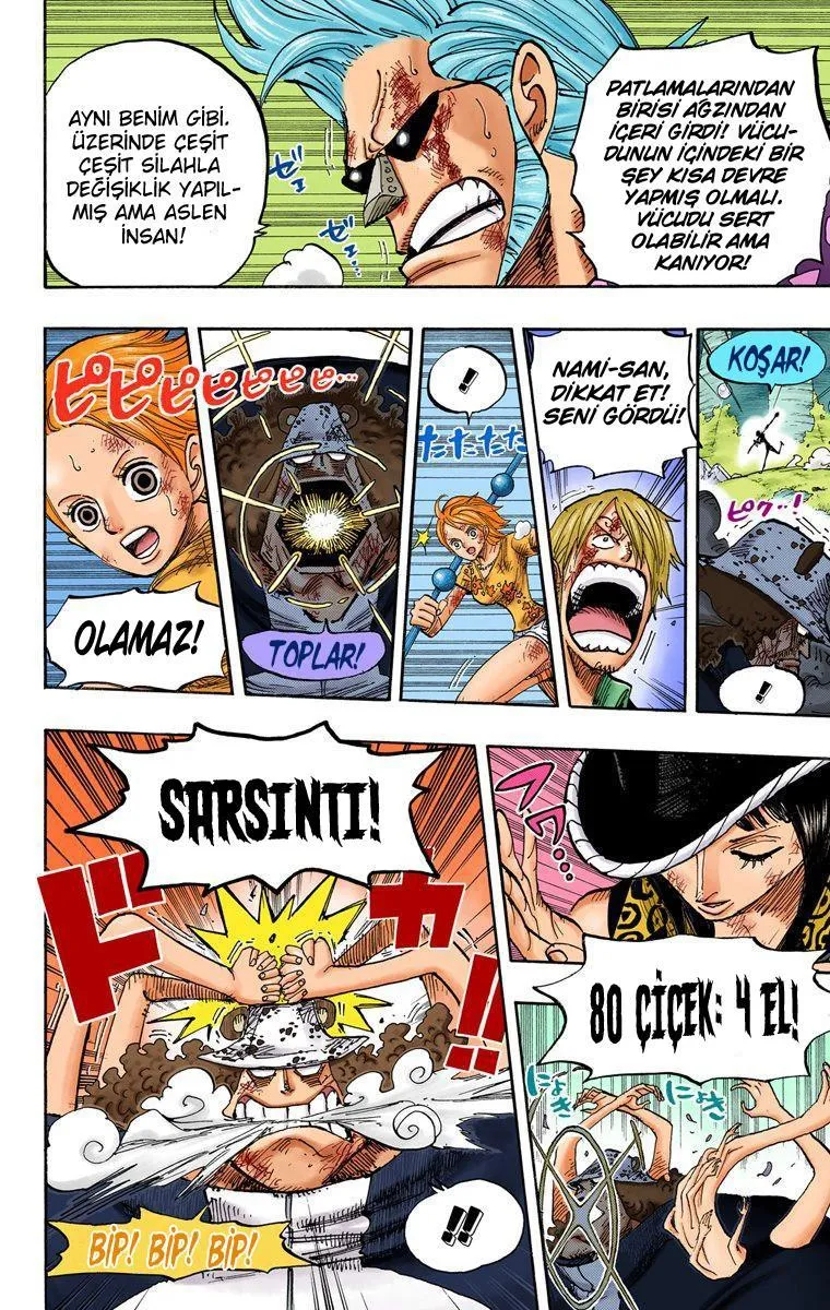 One Piece [Renkli] - Sayfa 15