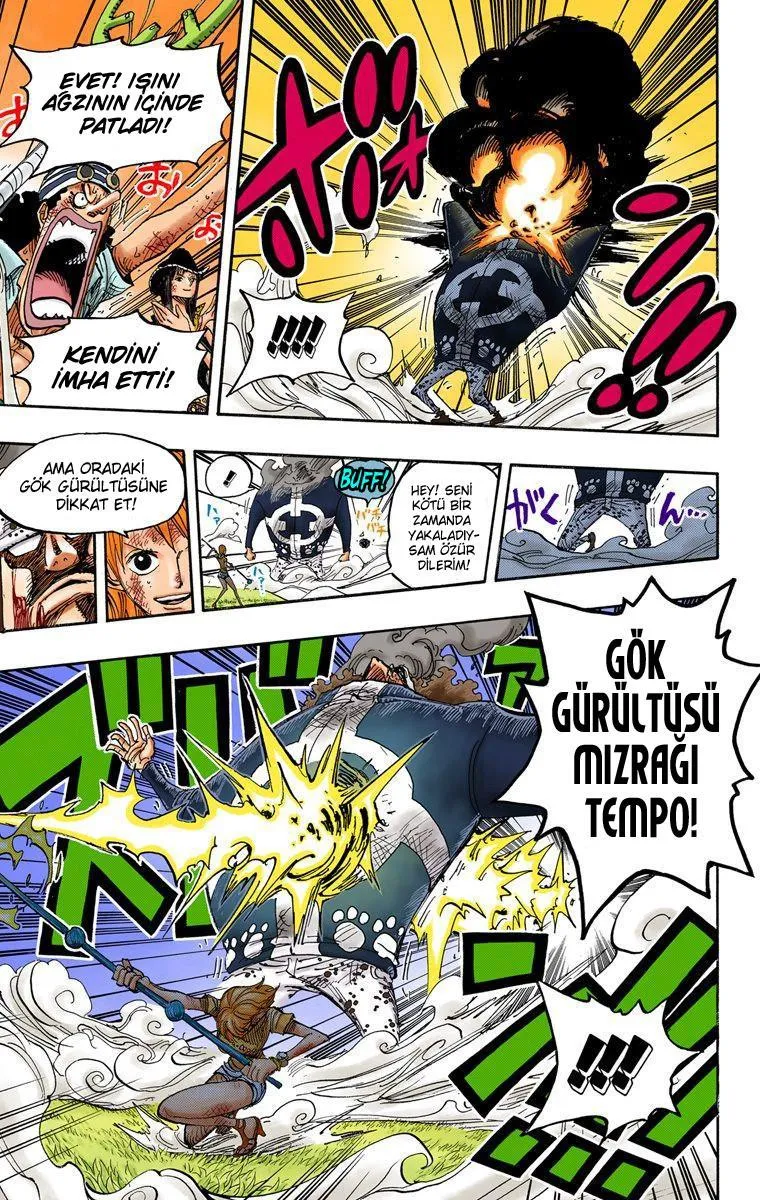 One Piece [Renkli] - Sayfa 16