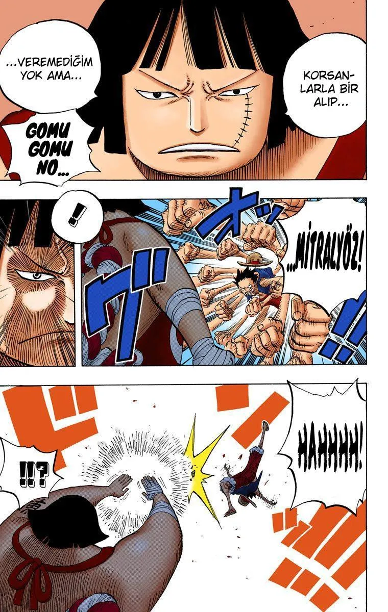 One Piece [Renkli] - Sayfa 13