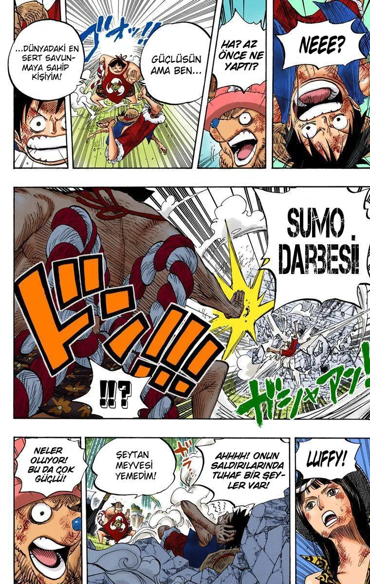 One Piece [Renkli] - Sayfa 14