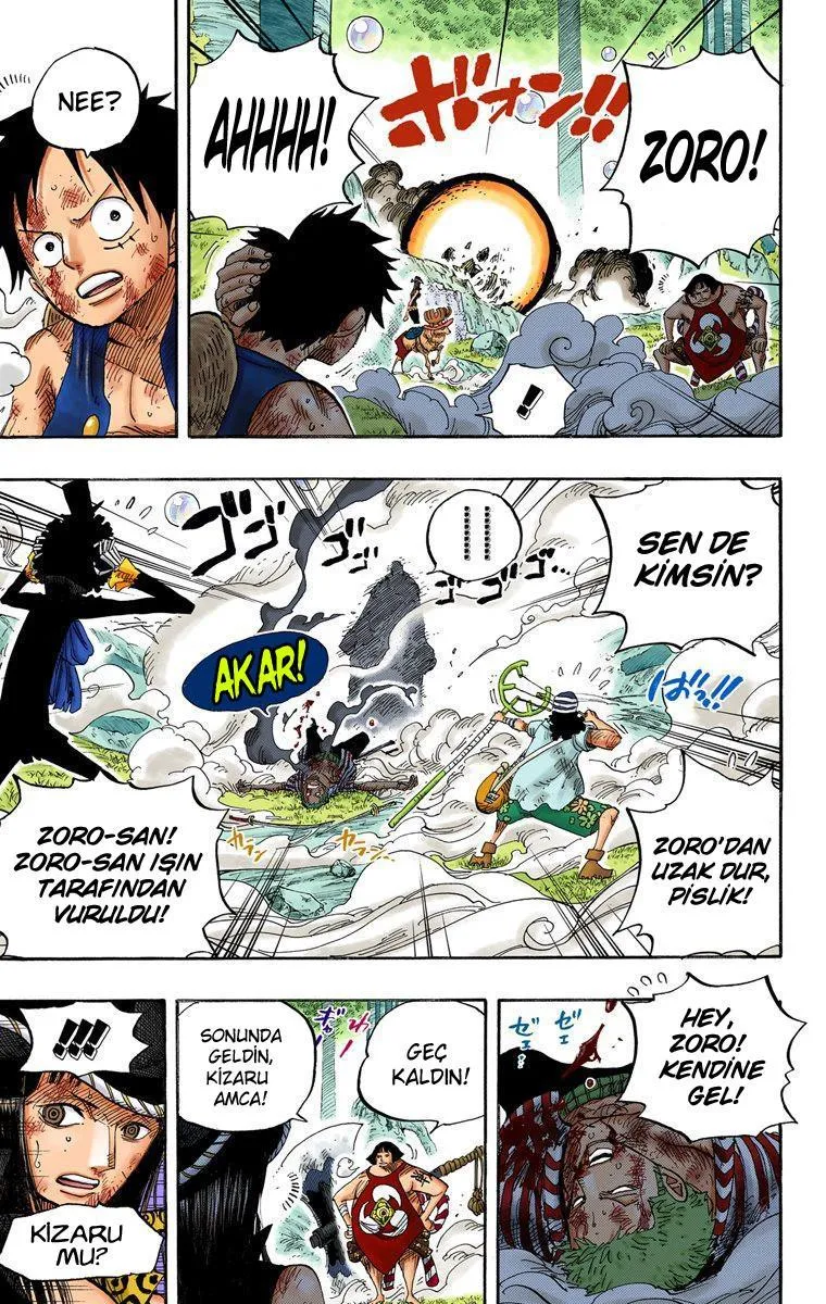 One Piece [Renkli] - Sayfa 15