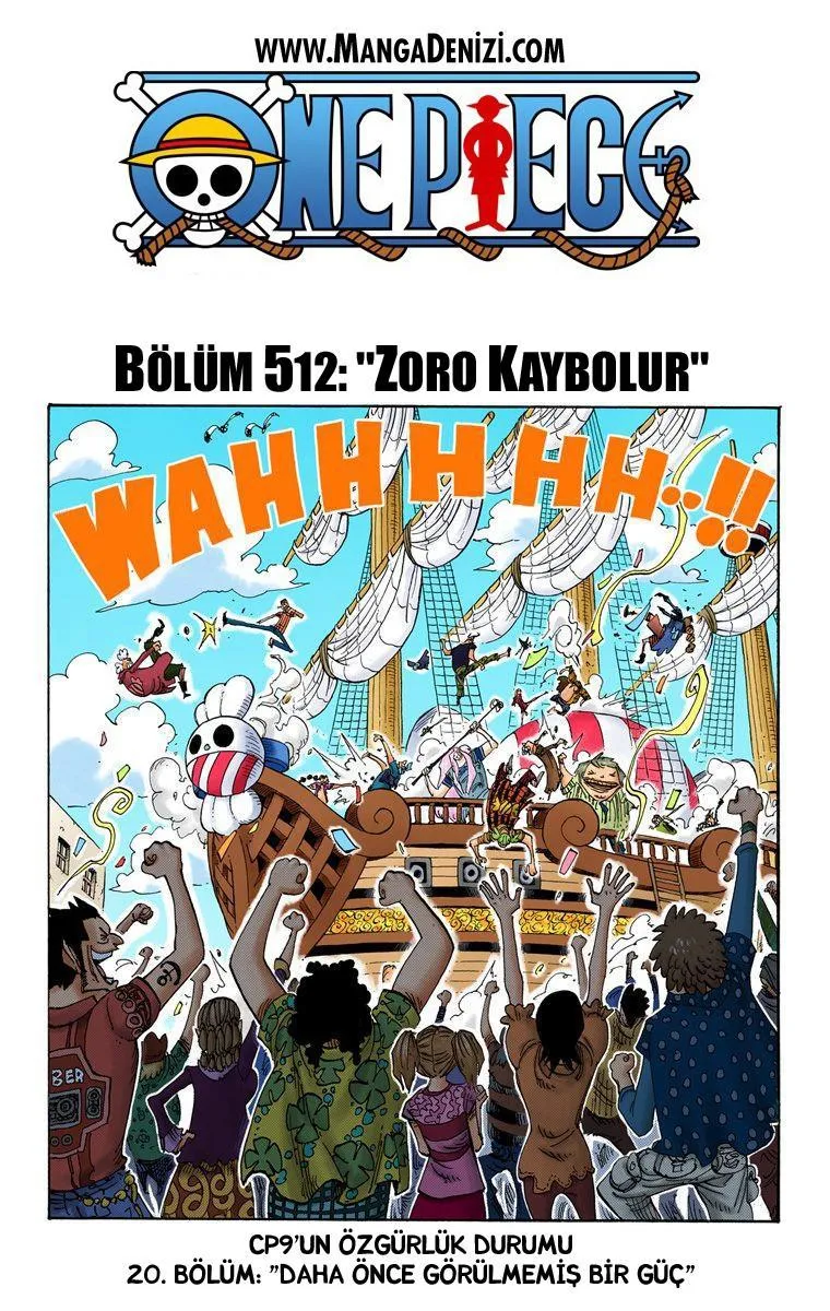 One Piece [Renkli] - Sayfa 2