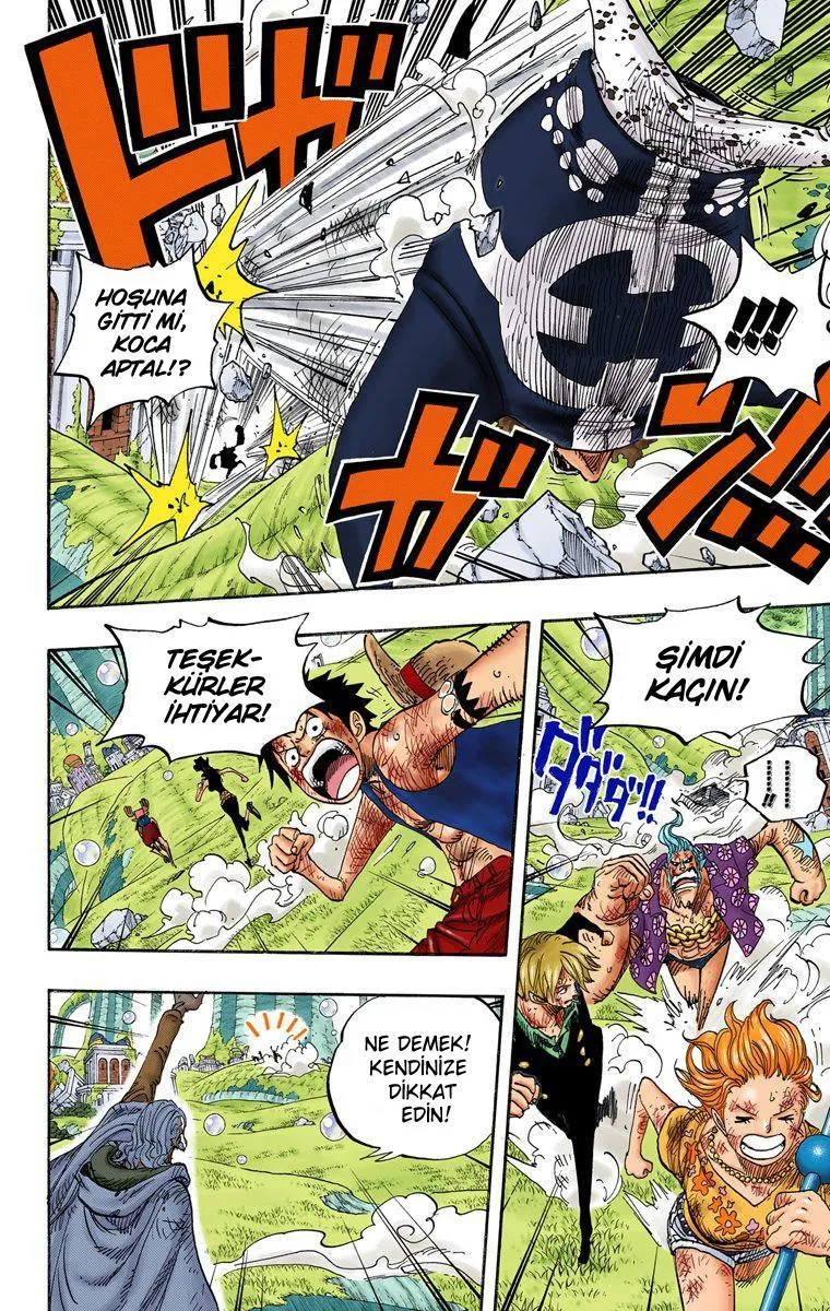 One Piece [Renkli] - Sayfa 6