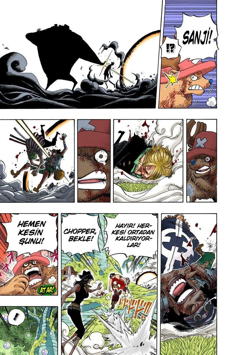 One Piece [Renkli] - Sayfa 15