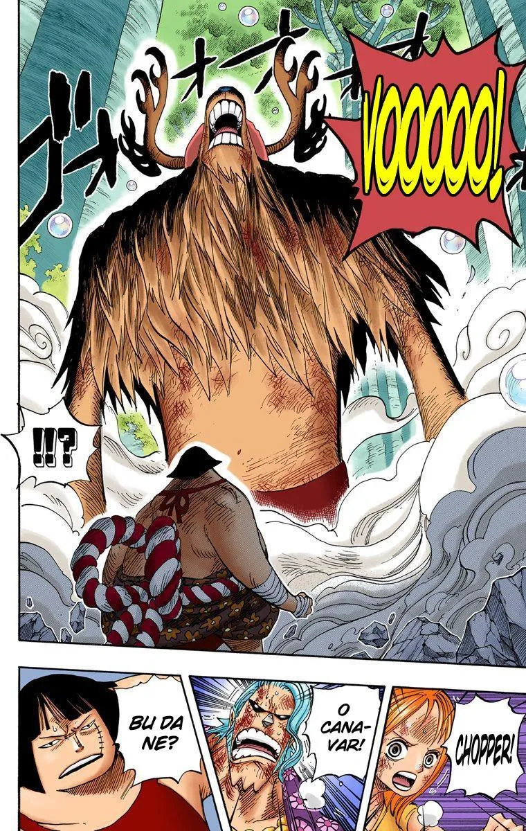 One Piece [Renkli] - Sayfa 16