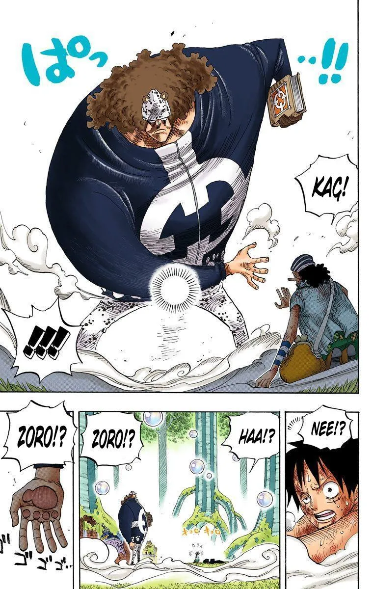 One Piece [Renkli] - Sayfa 19