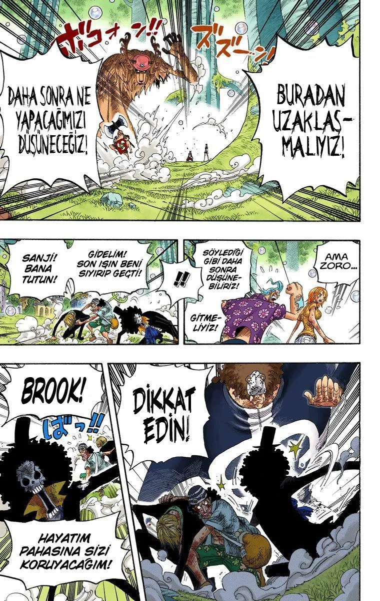 One Piece [Renkli] - Sayfa 7