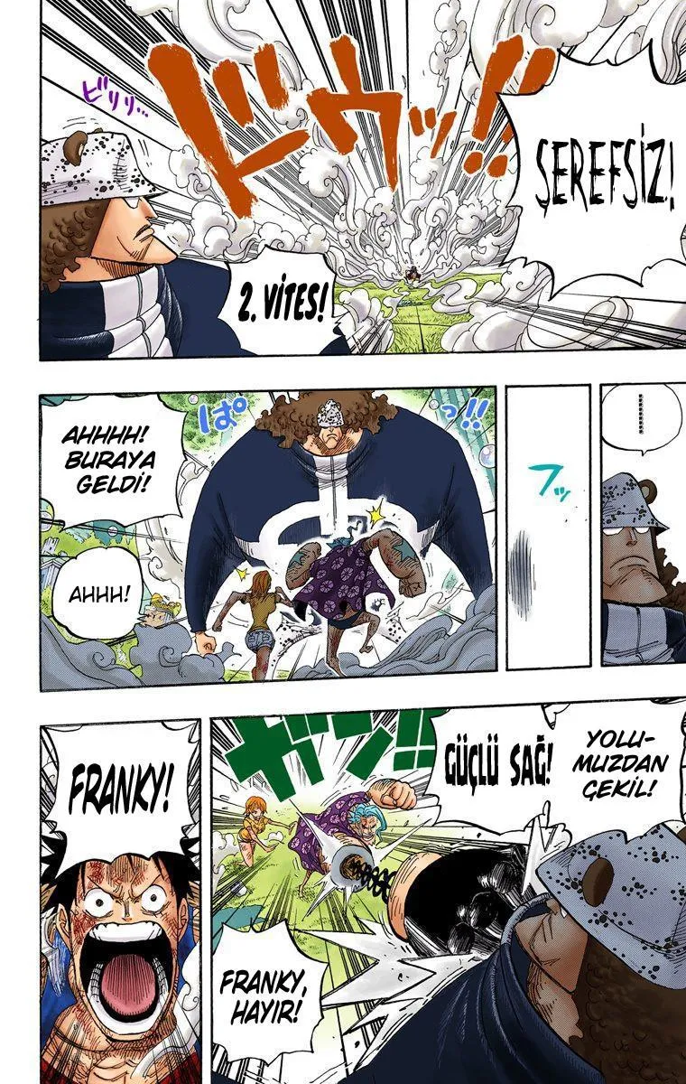 One Piece [Renkli] - Sayfa 12
