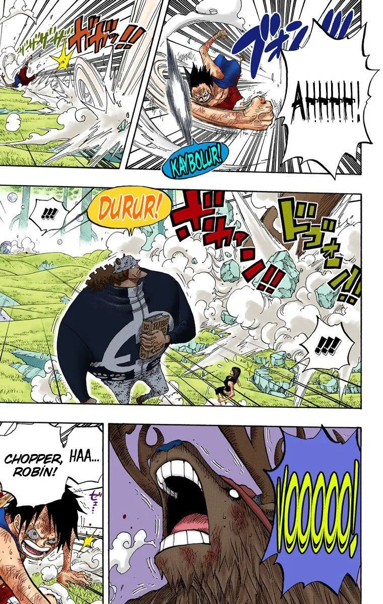 One Piece [Renkli] - Sayfa 15