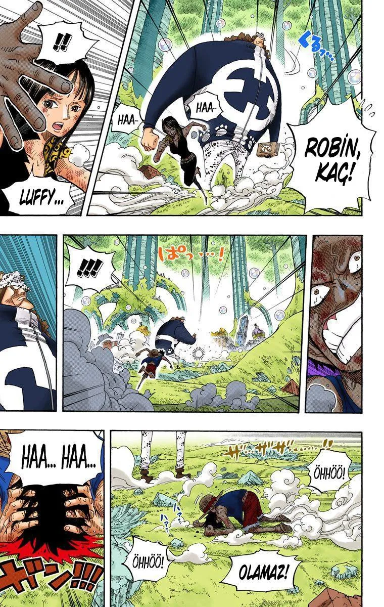 One Piece [Renkli] - Sayfa 17