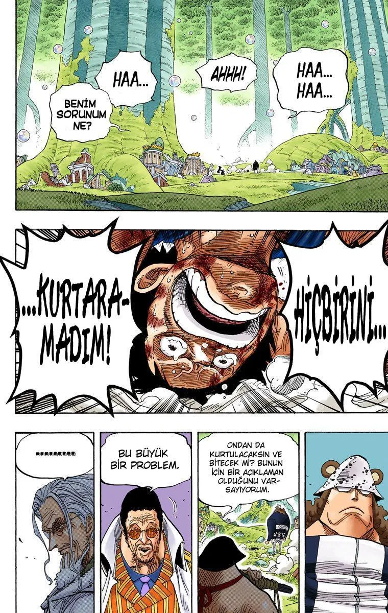 One Piece [Renkli] - Sayfa 18