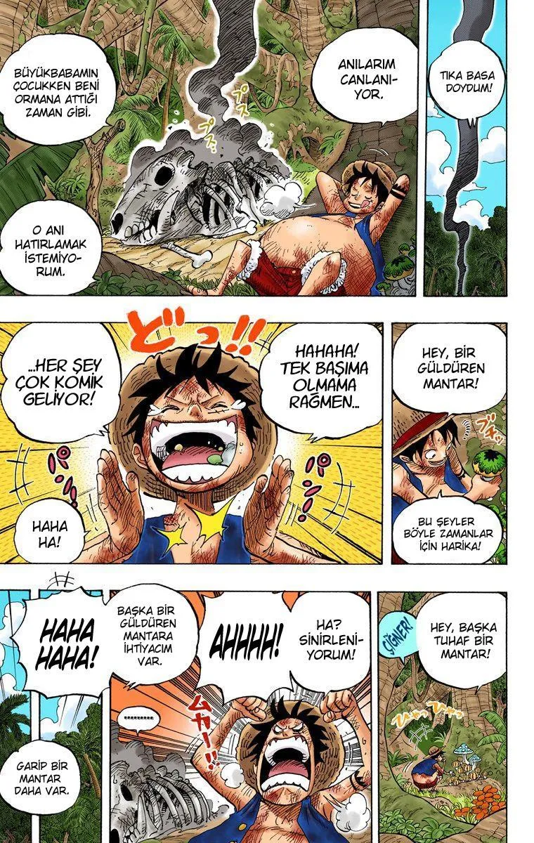 One Piece [Renkli] - Sayfa 14