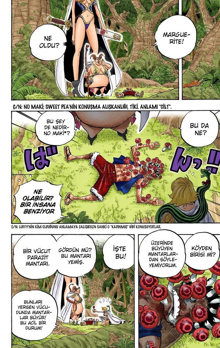 One Piece [Renkli] - Sayfa 15