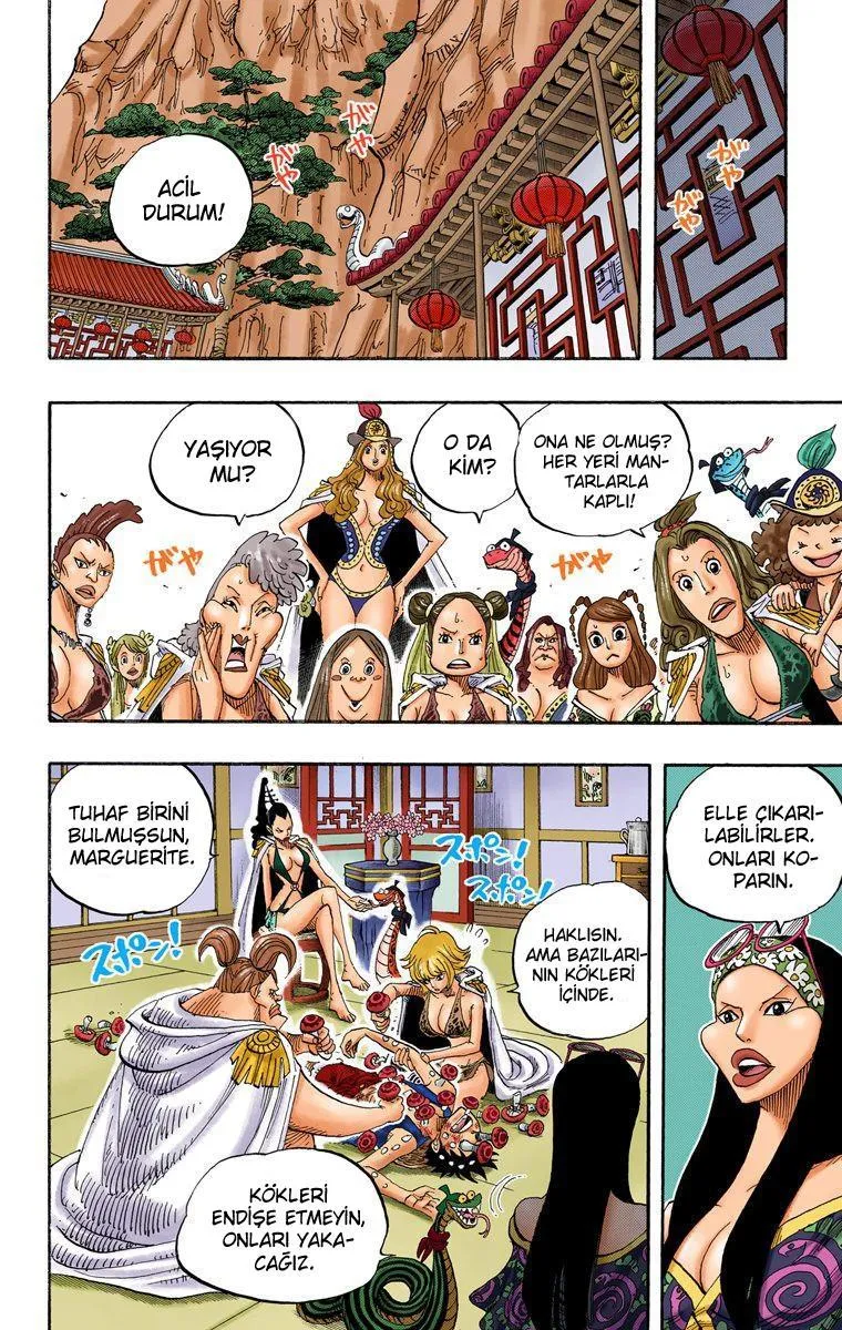 One Piece [Renkli] - Sayfa 17
