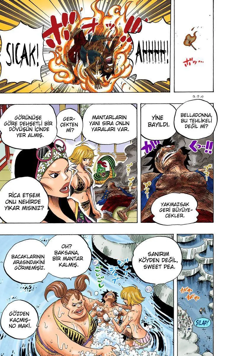 One Piece [Renkli] - Sayfa 18